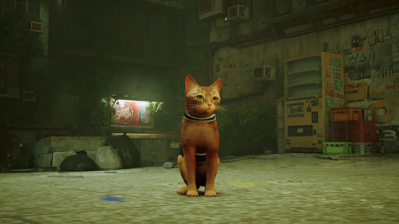 A cat sits in the middle of an empty street in Stray