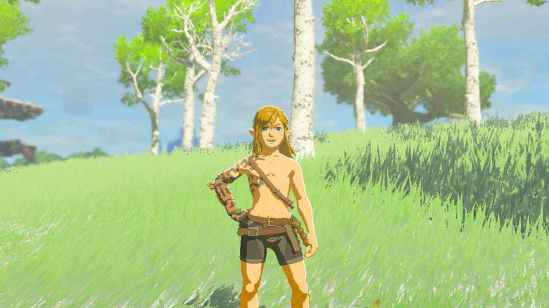 Shirtless Link posing in Tears of the Kingdom