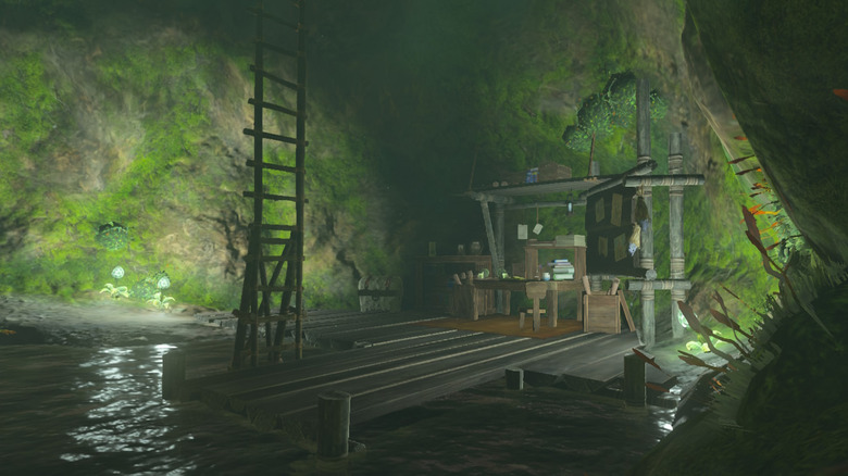 Zelda's Secret Well in Tears of the Kingdom