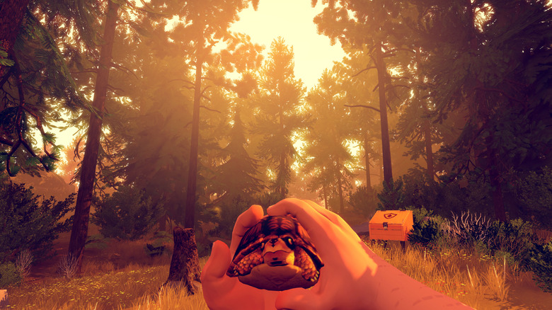 Henry examines a turtle in Firewatch
