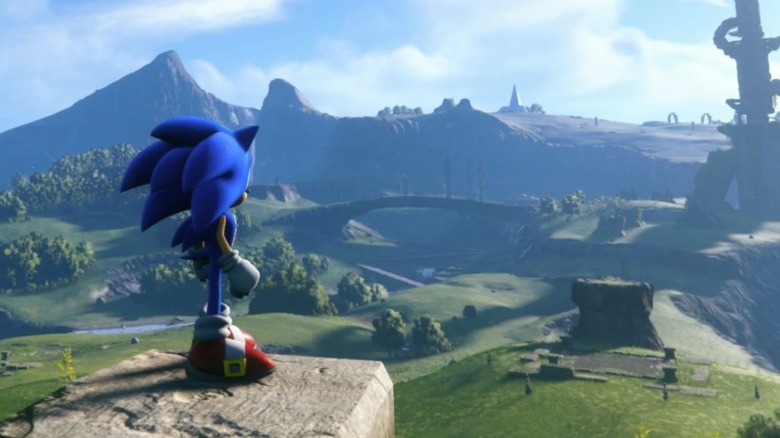 Sonic looking at landscape