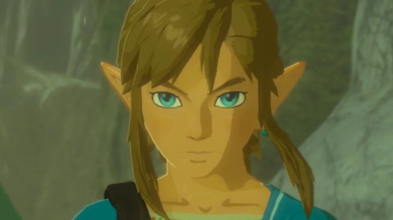 Breath of the Wild Link Stares