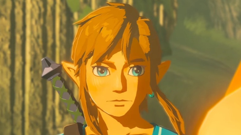 Link stares
