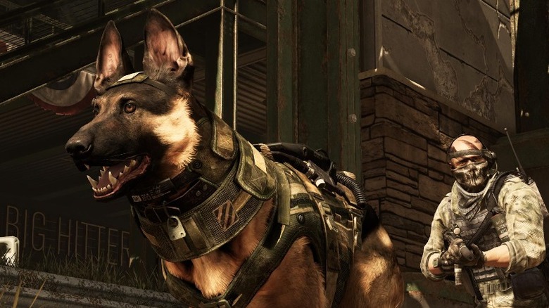 Operator following dog