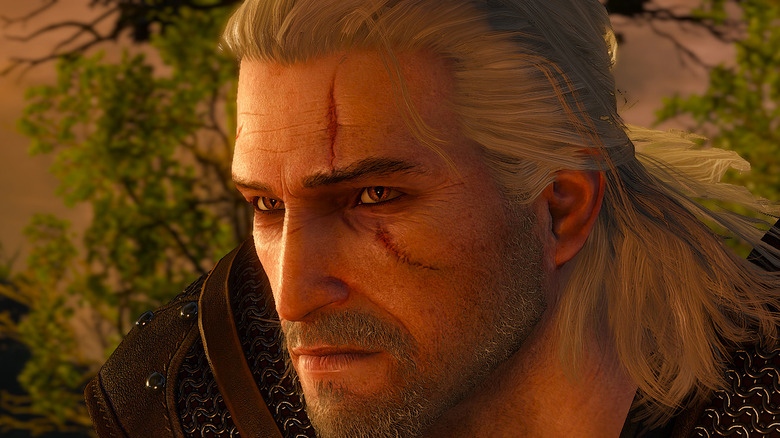The Witcher 3 Geralt stares