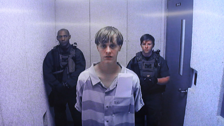 Dylan Roof on TV