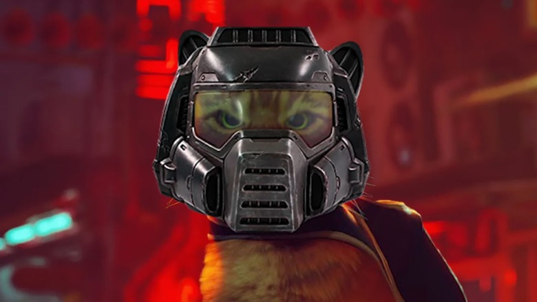 Stray cat wearing Doomguy helmet