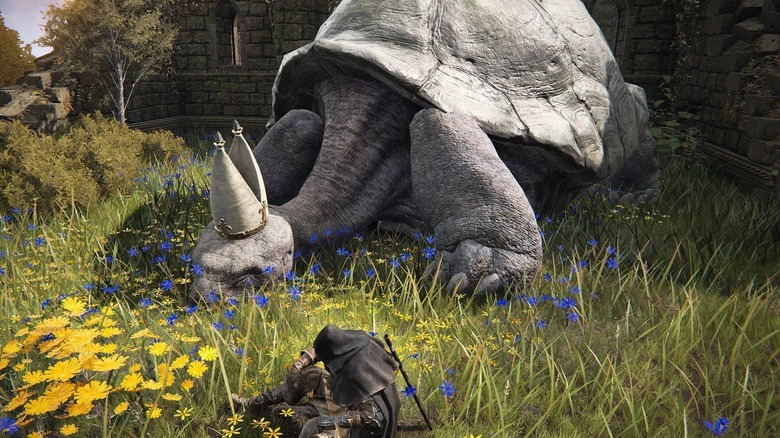 Elden Ring Turtle Pope Sleeping