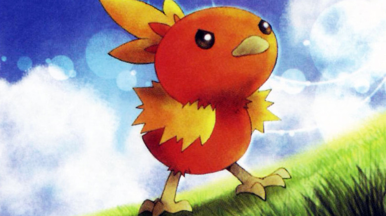 Torchic