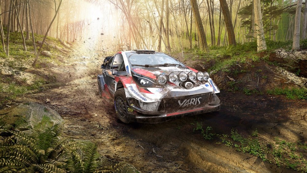 WRC 9