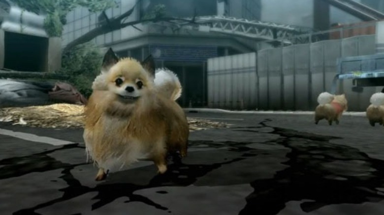 A small dog looking scared in Tokyo Jungle