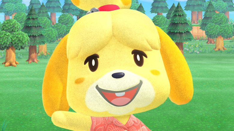 Isabelle New Horizons