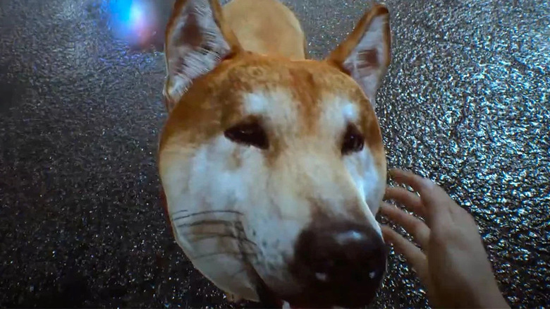 Ghostwire Dog