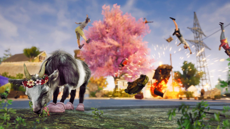 Goat and explosion