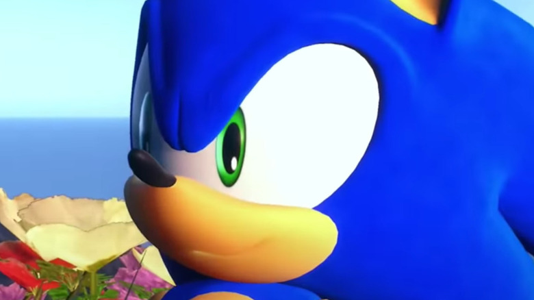 Sonic cocky look