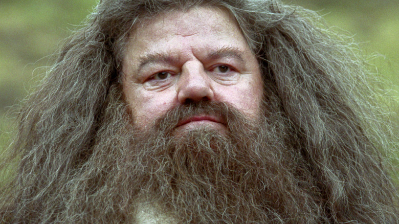 Hagrid serious face