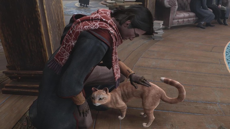 Petting cat Room of Requirement