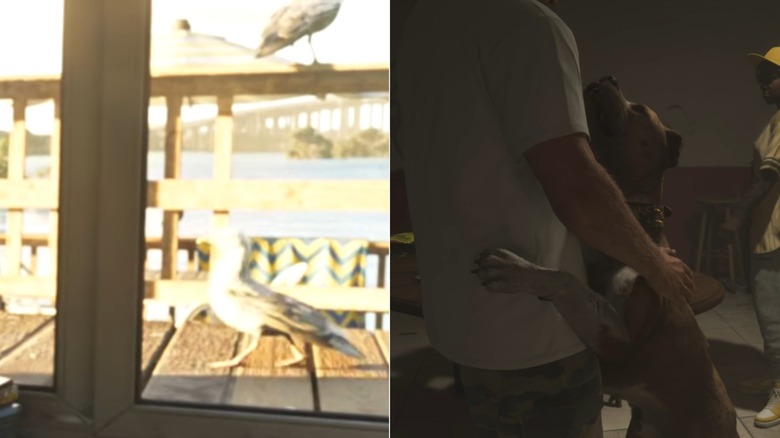 A side by side of birds out a window and Jason playing with a dog in "GTA 6" (2026)