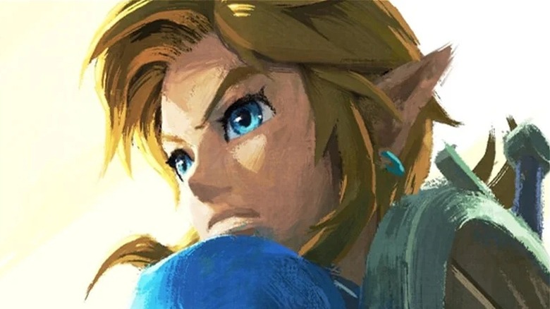 Link looks over shoulder