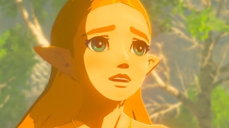 Breath of the Wild Zelda Shocked Glitch