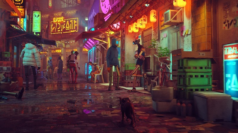 Cat on city street