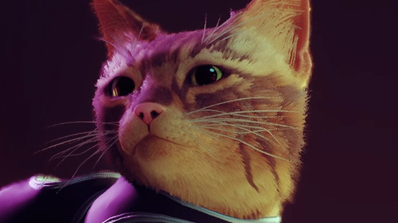 Stray: PlayStation Plus Subscribers Can Download Cat Game For Free