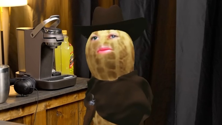 TheBurntPeanut wearing a cowboy hat and poncho