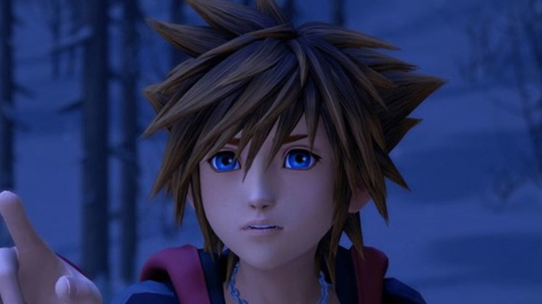 Sora pointing