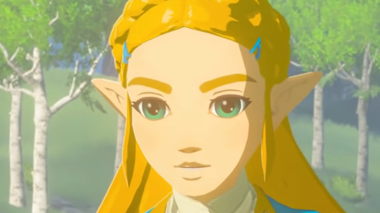 Zelda BoTW cutscene