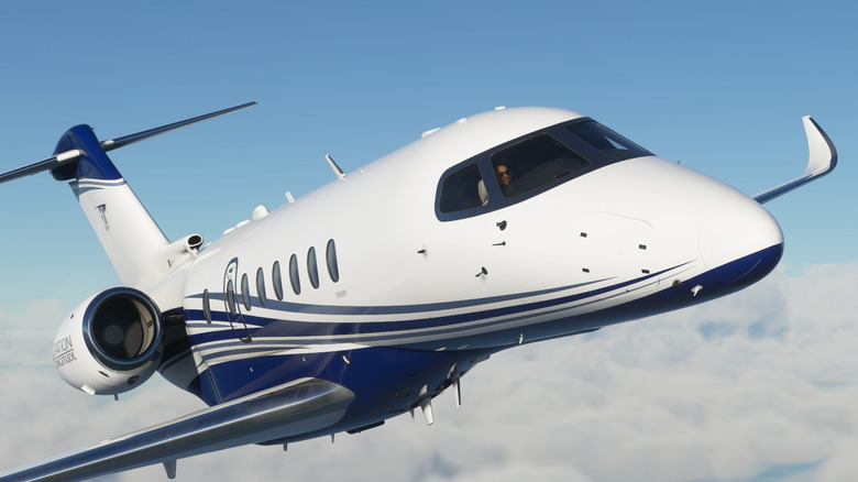 Microsoft Flight Simulator Mid-Flight
