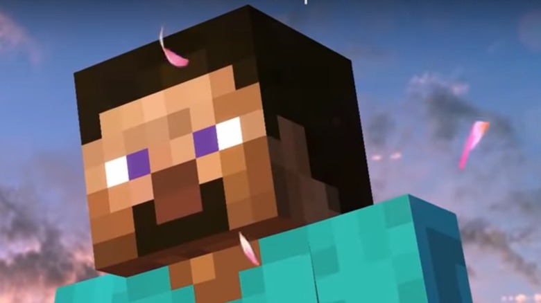 steve from minecraft