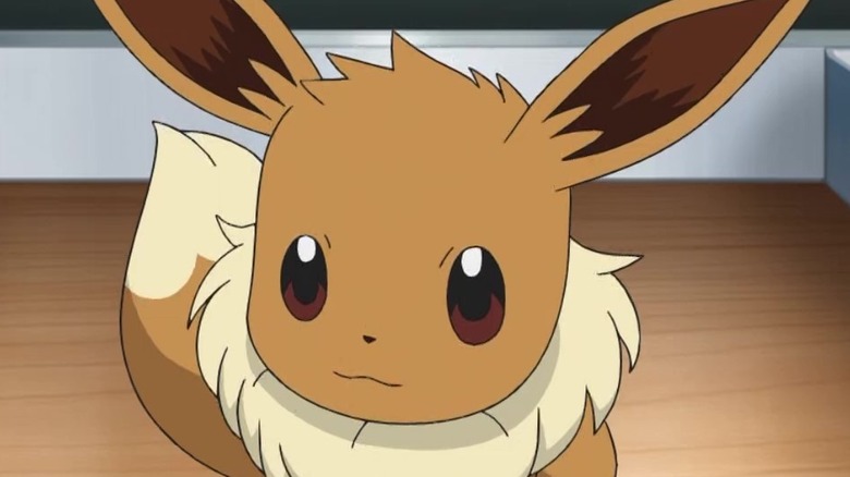 Pokemon Eevee Anime