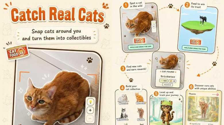 A description of how to play CatCatch