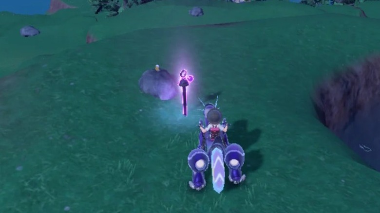 Trainer finding stake