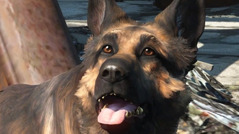 Dogmeat  panting