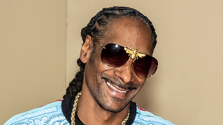 Snoop Dogg in bee glasses