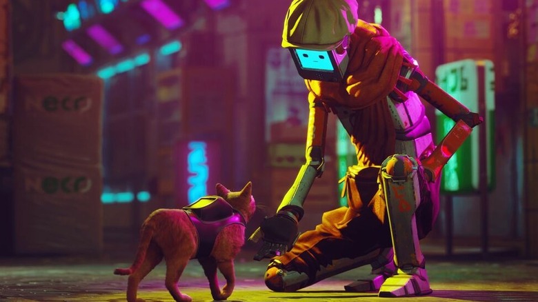Stray cat approaching a friendly robot