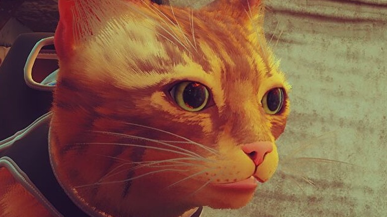 Stray cat in-game face close up