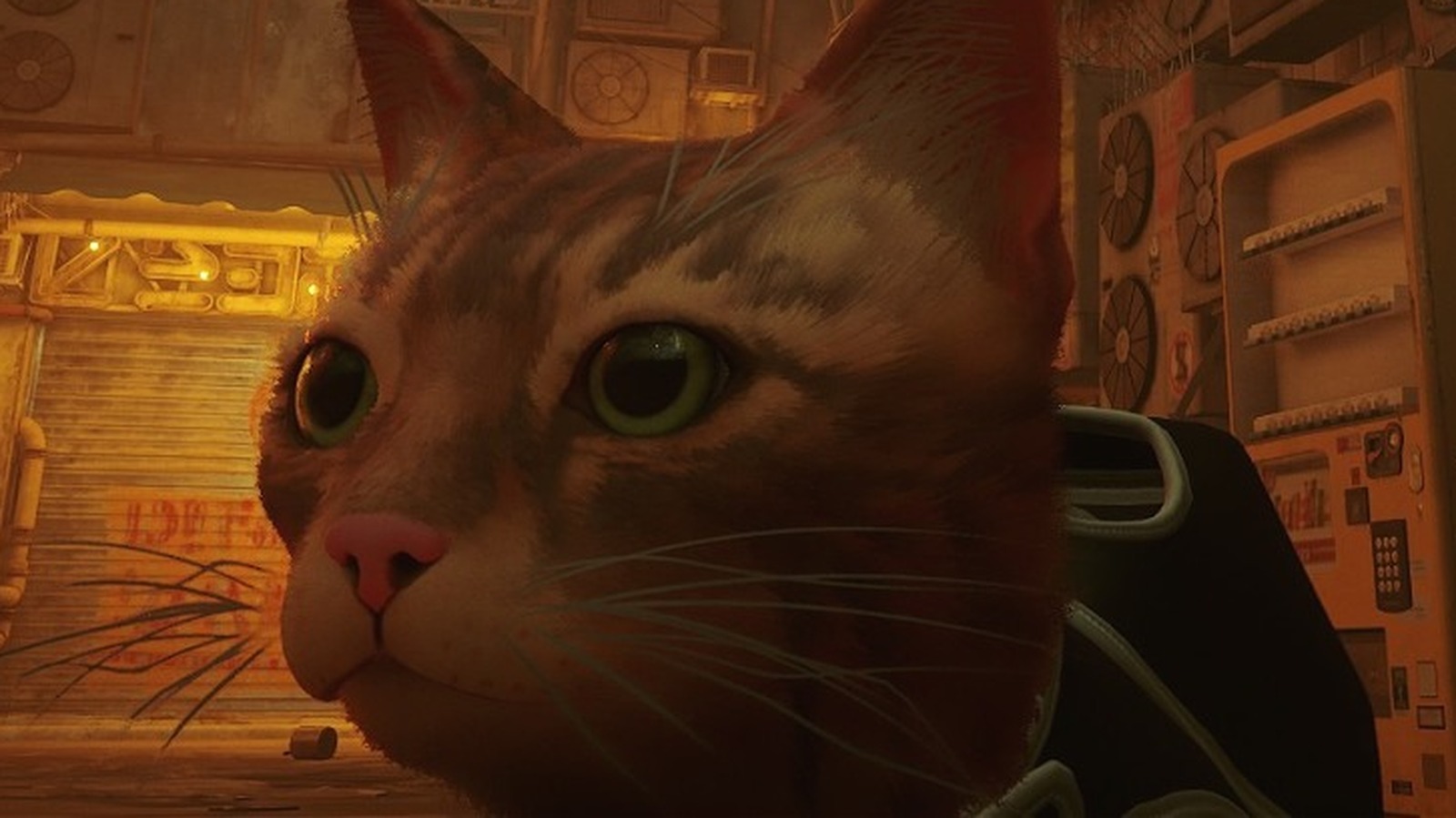 Stray mod lets you control the cat using your actual legs