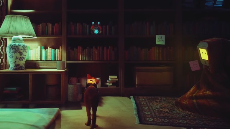 Cat looking at books