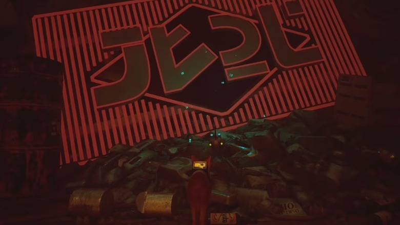 Cat looking at sign