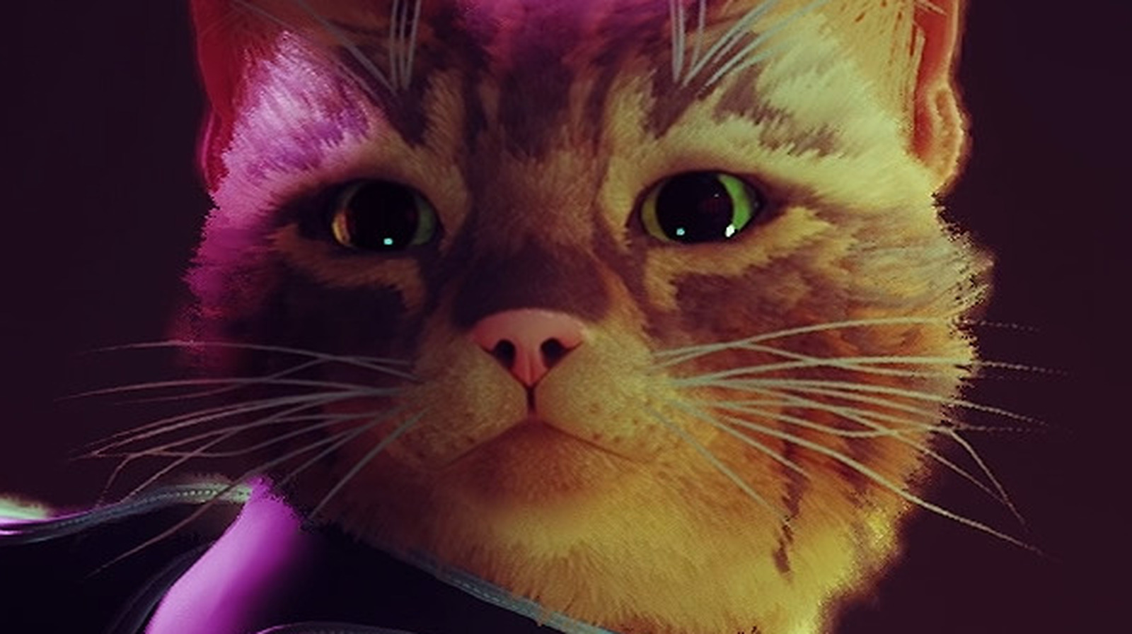 Stray Where To Find Every Energy Drink Can In The Slums