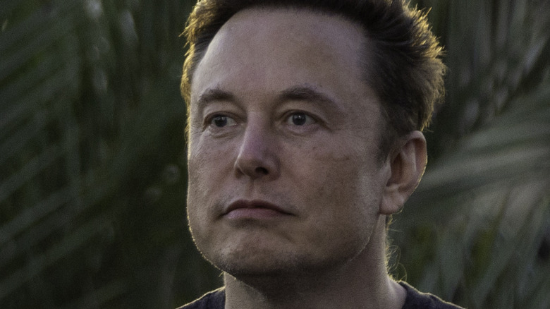 Elon Musk in casual outfit beach backdrop