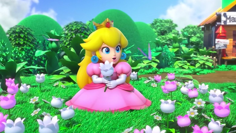 Peach in field of flowers