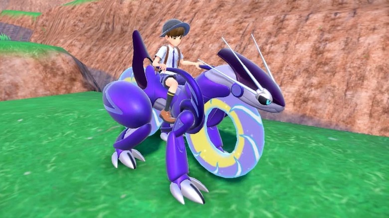 trainer rides Miraidon