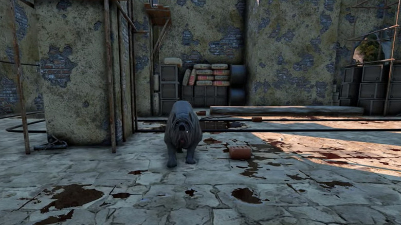 Cujo in Electric Junkyard