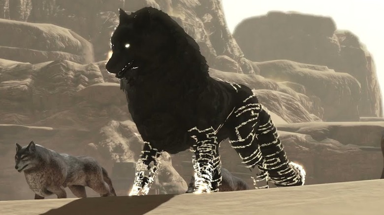 Roc with wolf pack