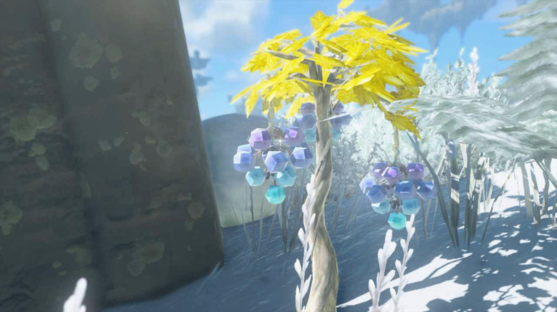Ice Fruit in Tears of the Kingdom