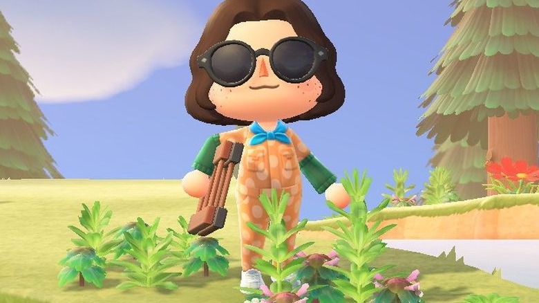 Why Won't Animal Crossing: Pocket Camp Let Me Pull Those Weeds? - Polygon