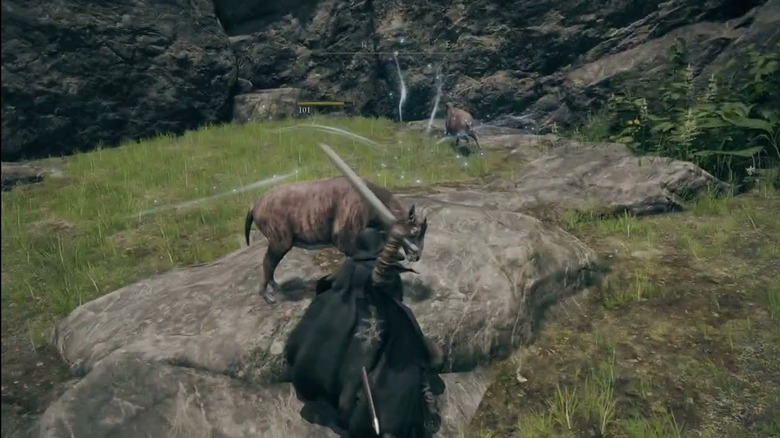 Elden Ring Sheep Attack